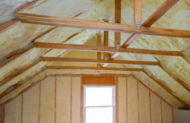 Best Residential Insulation in North Druid Hills, GA