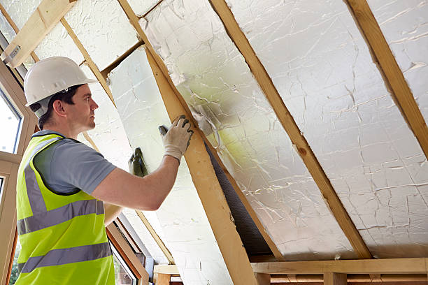 Best Insulation Maintenance and Repair in North Druid Hills, GA